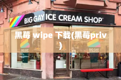 黑莓 wipe 下载(黑莓priv)-第1张图片-星选测评