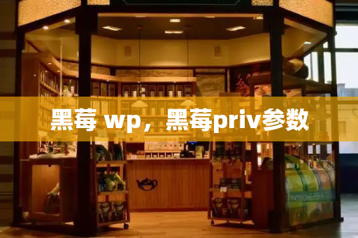 黑莓 wp，黑莓priv参数-第1张图片-星选测评