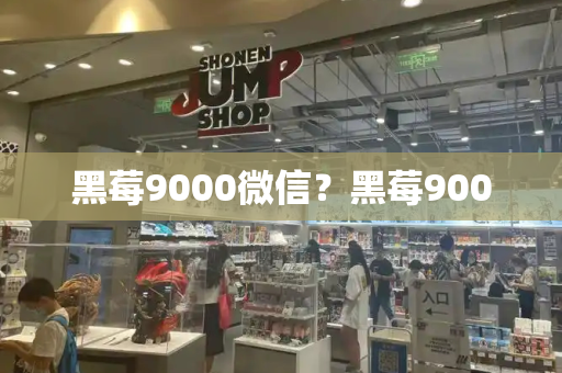 黑莓9000微信？黑莓9000-第1张图片-星选测评