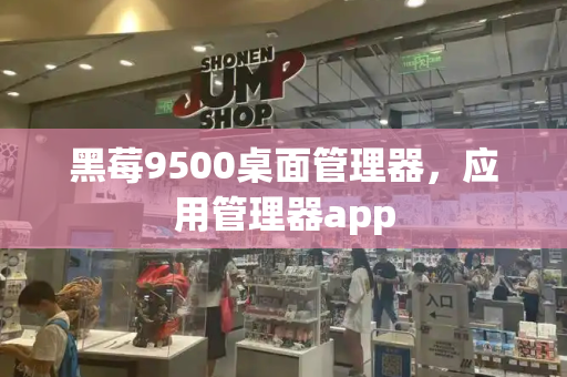 黑莓9500桌面管理器，应用管理器app