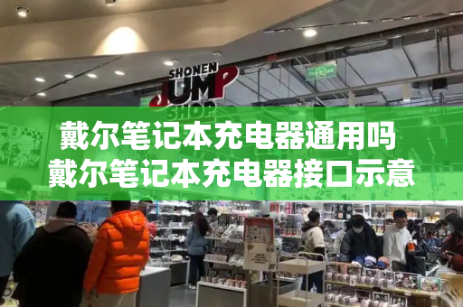 戴尔笔记本充电器通用吗 戴尔笔记本充电器接口示意图