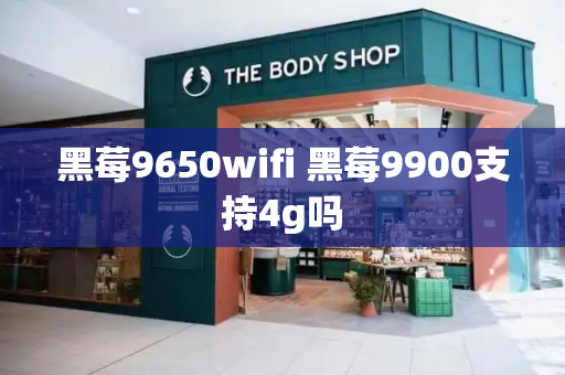 黑莓9650wifi 黑莓9900支持4g吗