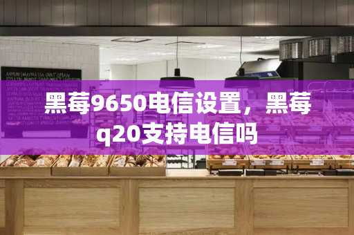 黑莓9650电信设置，黑莓q20支持电信吗