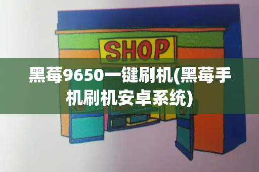 黑莓9650一键刷机(黑莓手机刷机安卓系统)