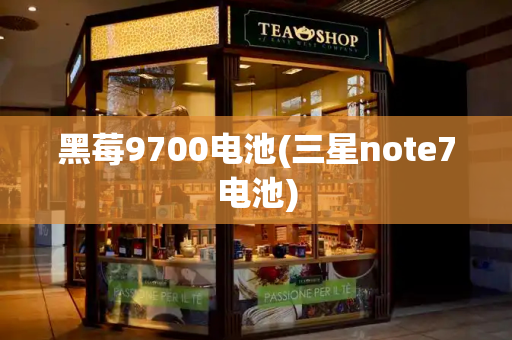 黑莓9700电池(三星note7电池)-第1张图片-星选测评