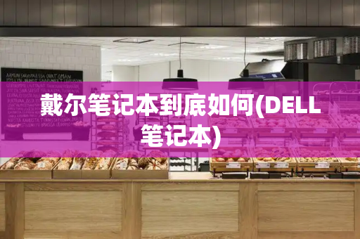 戴尔笔记本到底如何(DELL笔记本)