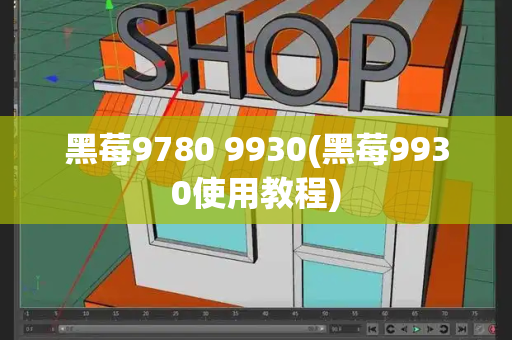 黑莓9780 9930(黑莓9930使用教程)