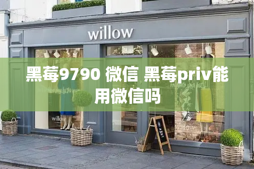 黑莓9790 微信 黑莓priv能用微信吗-第1张图片-星选测评