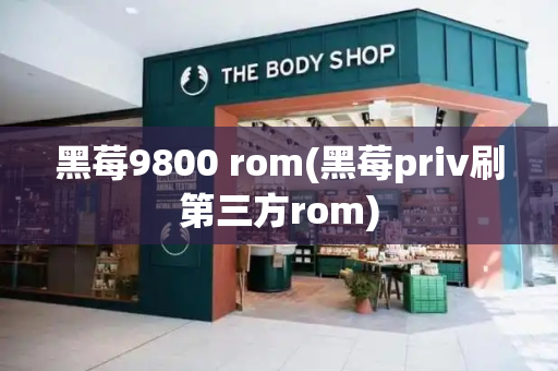 黑莓9800 rom(黑莓priv刷第三方rom)