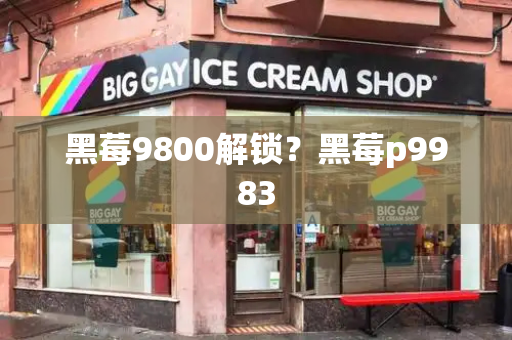 黑莓9800解锁？黑莓p9983