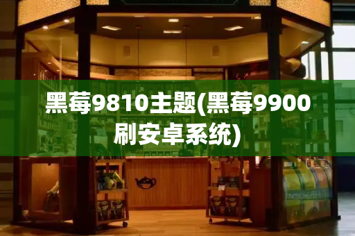 黑莓9810主题(黑莓9900刷安卓系统)-第1张图片-星选测评