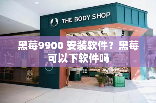 黑莓9900 安装软件？黑莓可以下软件吗