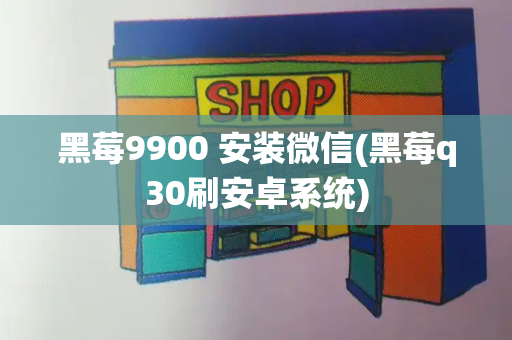 黑莓9900 安装微信(黑莓q30刷安卓系统)-第1张图片-星选测评