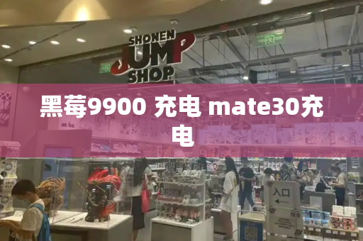 黑莓9900 充电 mate30充电-第1张图片-星选测评