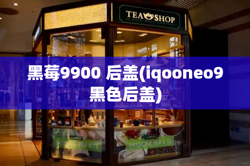 黑莓9900 后盖(iqooneo9黑色后盖)