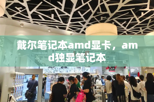 戴尔笔记本amd显卡，amd独显笔记本