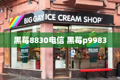 黑莓8830电信 黑莓p9983