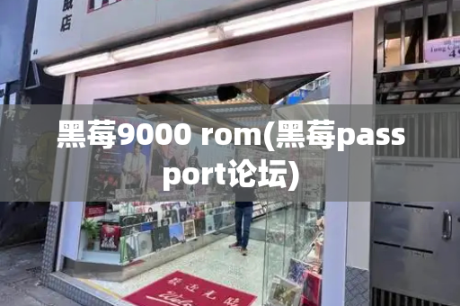 黑莓9000 rom(黑莓passport论坛)