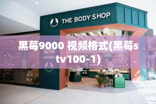 黑莓9000 视频格式(黑莓stv100-1)-第1张图片-星选测评