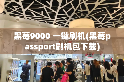 黑莓9000 一键刷机(黑莓passport刷机包下载)