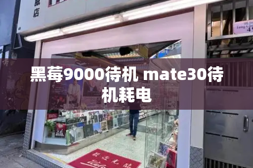 黑莓9000待机 mate30待机耗电