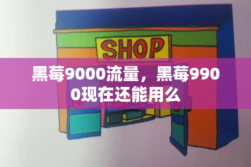 黑莓9000流量，黑莓9900现在还能用么