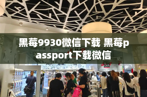 黑莓9930微信下载 黑莓passport下载微信-第1张图片-星选测评