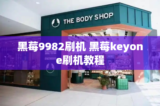 黑莓9982刷机 黑莓keyone刷机教程