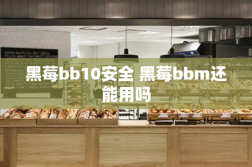 黑莓bb10安全 黑莓bbm还能用吗-第1张图片-星选测评