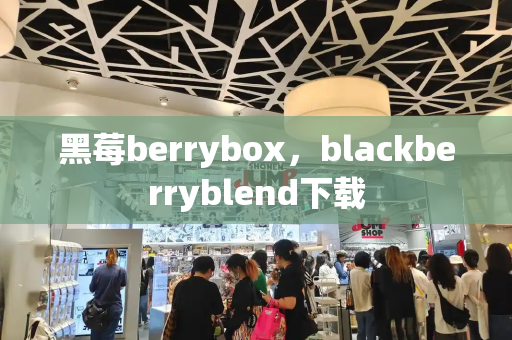 黑莓berrybox，blackberryblend下载