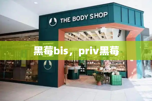 黑莓bis，priv黑莓