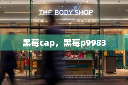 黑莓cap，黑莓p9983