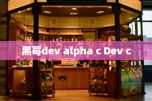 黑莓dev alpha c Dev c