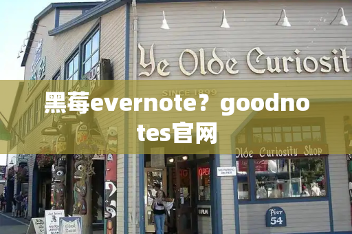 黑莓evernote？goodnotes官网-第1张图片-星选测评