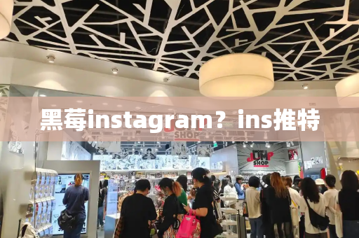 黑莓instagram？ins推特