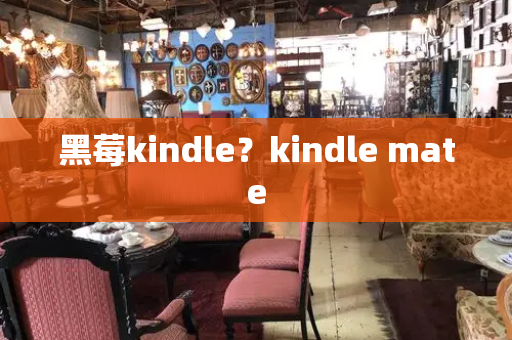 黑莓kindle？kindle mate