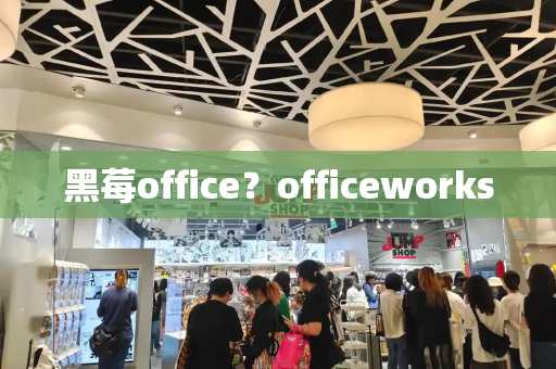 黑莓office？officeworks