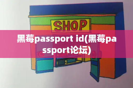 黑莓passport id(黑莓passport论坛)