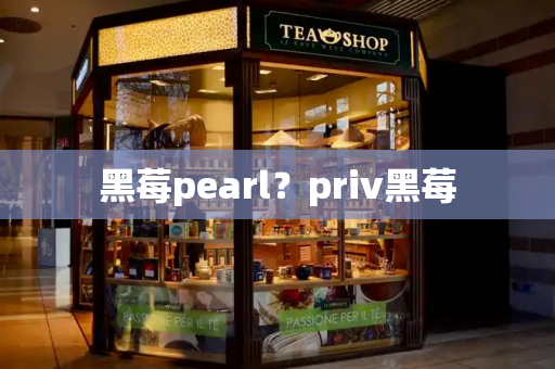 黑莓pearl？priv黑莓-第1张图片-星选测评