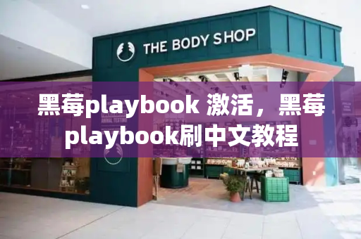 黑莓playbook 激活，黑莓playbook刷中文教程