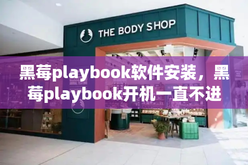 黑莓playbook软件安装，黑莓playbook开机一直不进入-第1张图片-星选测评