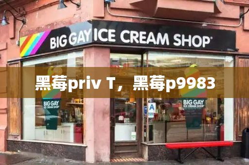 黑莓priv T，黑莓p9983