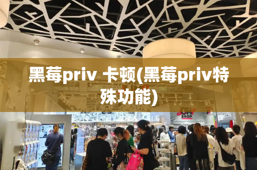 黑莓priv 卡顿(黑莓priv特殊功能)-第1张图片-星选测评