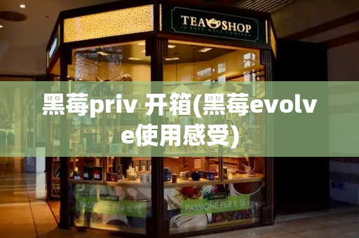 黑莓priv 开箱(黑莓evolve使用感受)-第1张图片-星选测评