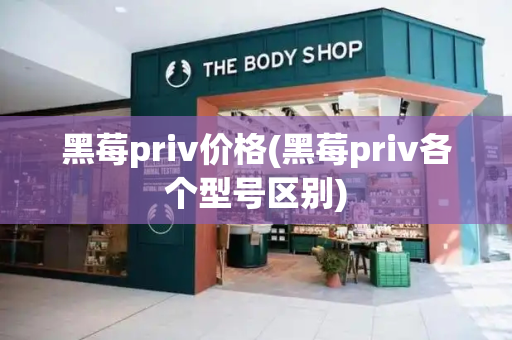 黑莓priv价格(黑莓priv各个型号区别)