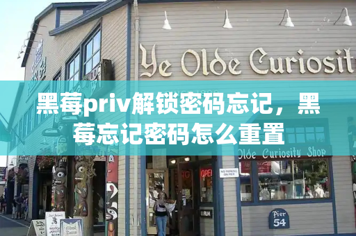 黑莓priv解锁密码忘记，黑莓忘记密码怎么重置