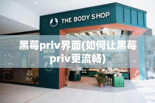 黑莓priv界面(如何让黑莓priv更流畅)-第1张图片-星选测评