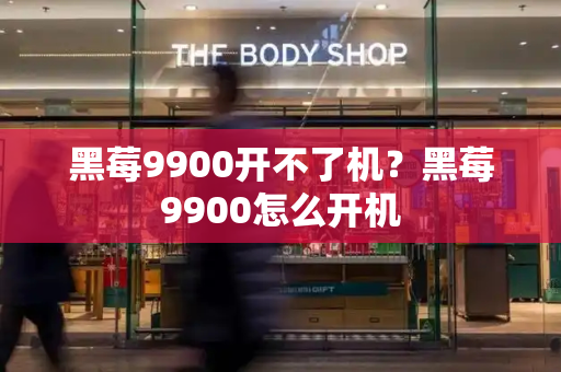 黑莓9900开不了机？黑莓9900怎么开机-第1张图片-星选测评