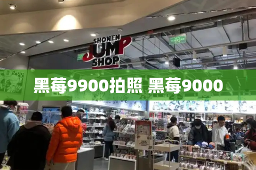 黑莓9900拍照 黑莓9000-第1张图片-星选测评