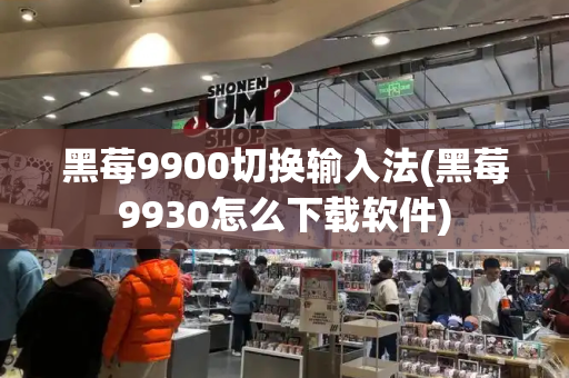 黑莓9900切换输入法(黑莓9930怎么下载软件)-第1张图片-星选测评